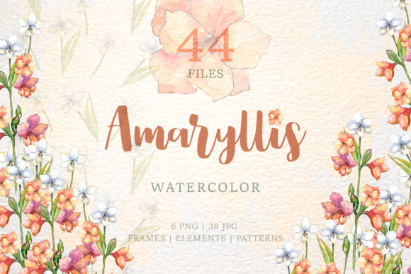 Amaryllis Flowers Watercolor Illustrations