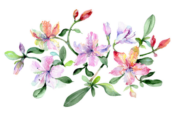 Bouquet Breath of Love Watercolor Illustrations