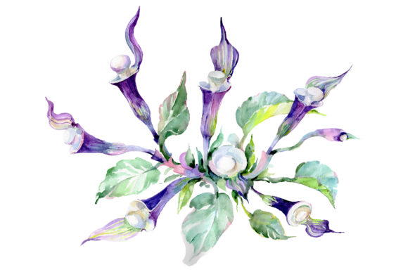 Bouquet Melody of the Piano Watercolor Illustrations