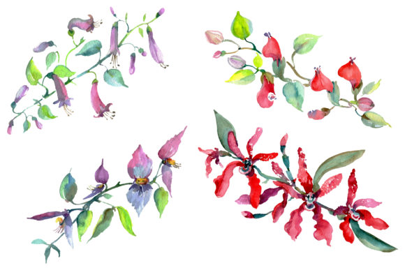 Bouquet of Flowers Rainbow Watercolor Illustrations