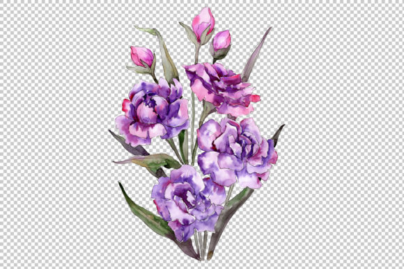 Bouquet of Purple Peony Watercolor Set and Illustrations