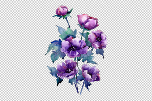 Bouquet of Purple Poppy Watercolor Set