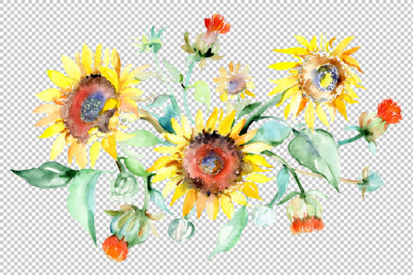 Bouquet Sunflower Field Yellow Watercolor Illustrations