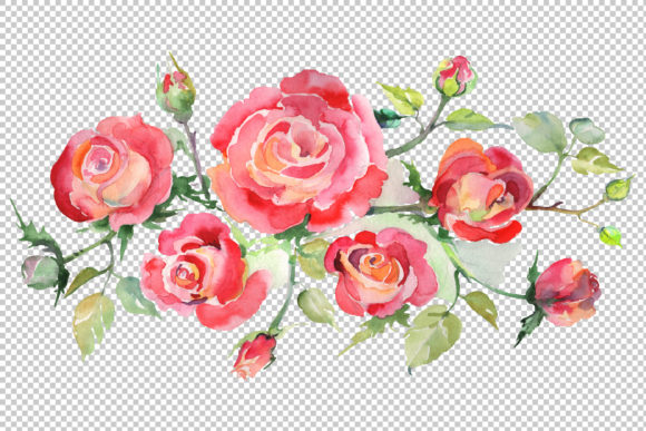 Bouquet with Roses Red Watercolor Illustrations