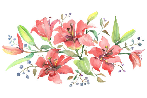Branch of Orange Lilies Watercolor Illustrations