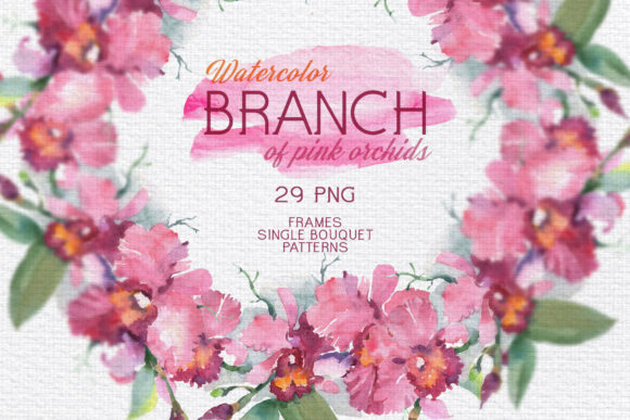 Branch of Pink Orchids Watercolor Png and Illustrations