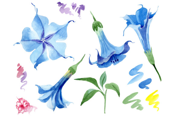 Brugmansia Soft Blue Watercolor Illustrations