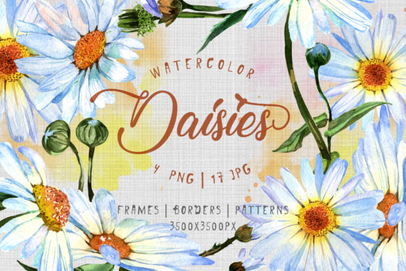 Cool Watercolor Daisies Set and Illustrations