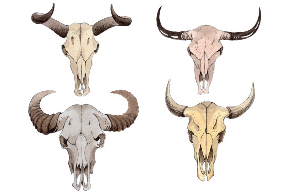 Cow Skull Watercolor Illustrations