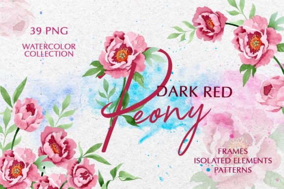 Dark Red Peony Watercolor Png and Illustrations