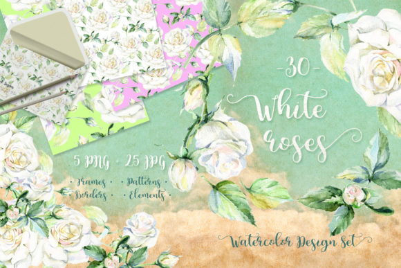 Delicate White Roses PNG Watercolor Set Illustrations