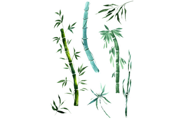 Exotic Bamboo Watercolor Set and Illustrations