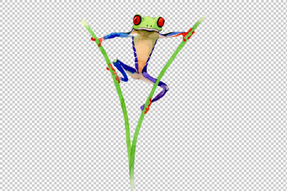 Exotic Frog Red-eyed Watercolor Set Illustrations