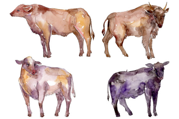 Farm Animals Bull Watercolor Illustrations