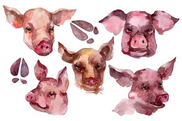 Farm Animals Pig Head Watercolor