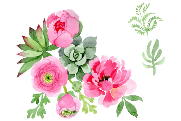 Flowers Ranunculus Watercolor Illustrations