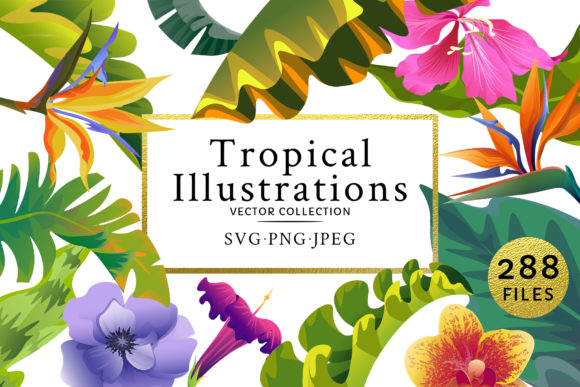Flowers Tropical Illustration Pack Watercolor