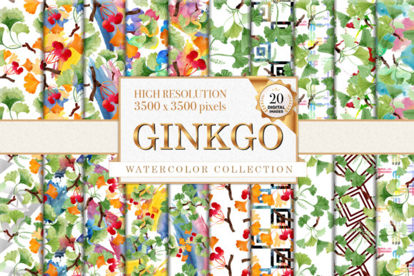Ginkgo Watercolor Illustrations