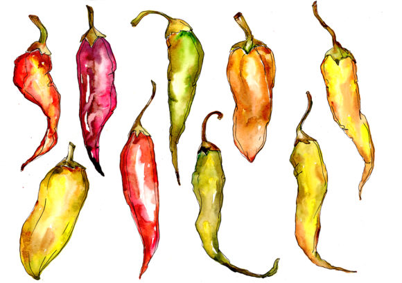 Green and Yellow Pepper Vegetables Watercolor Set Illustrations