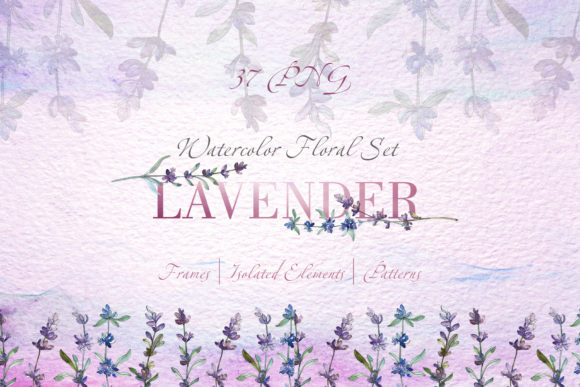 Lavender Violet Watercolor Png Illustrations