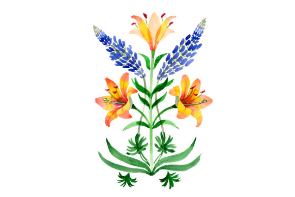 Ornament Yellow Lilies Watercolor Illustrations