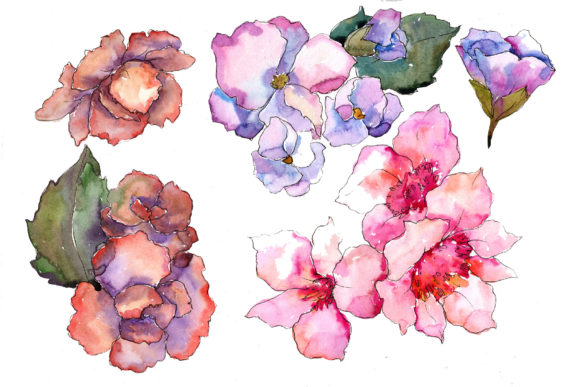 Pink Flower Gardenia Watercolor Set Illustrations