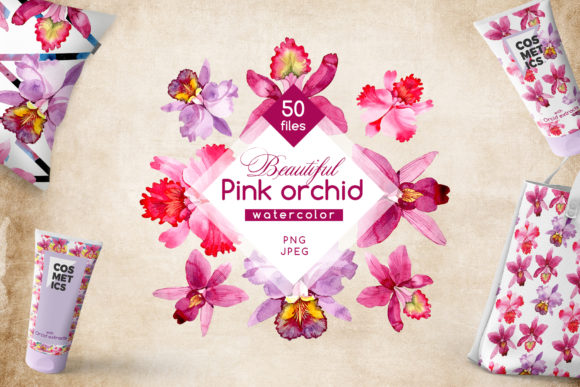 Pink Orchid Watercolor Flower Set Illustrations