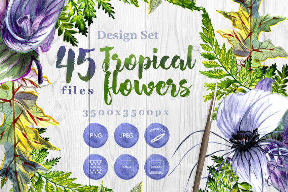 Tropical Flowers PNG Watercolor Set