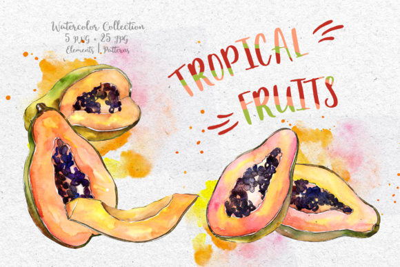 Tropical Fruits PNG Watercolor Set Illustrations