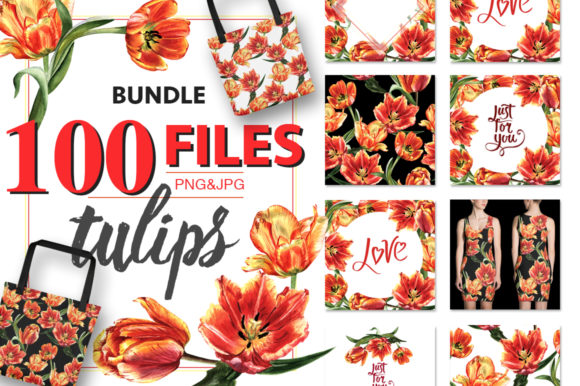 Tulip Red PNG Watercolor Flower Set Illustrations