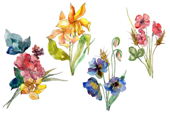 Wildflowers World of Wonders Watercolor