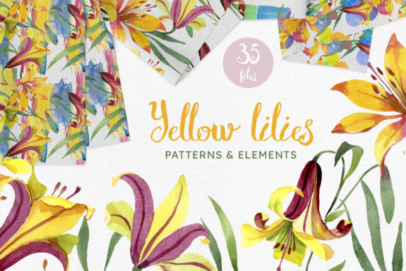 Yellow Lily Flowers Watercolor Png and Illustrations