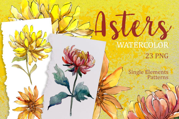 Yellow Watercolor Asters Set Illustrations